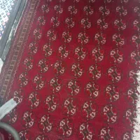 فروش ویایل|فرش|مشهد, حضرت حجت|دیوار