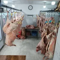 استخدام قصاب در غرفه گوشت و مرغ فروشگاه رفاه رامسر