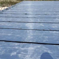 ایزوگام . پرویز