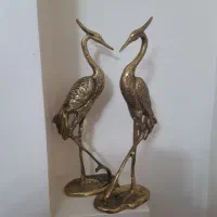 فلامینگو‌برنجی