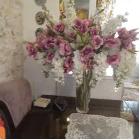 گل ویرا کیش