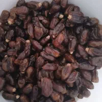 خرما|خوردنی و آشامیدنی|اهواز, دغاغله|دیوار