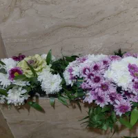 گل آماده|گل و گیاه طبیعی|ری, علایین|دیوار