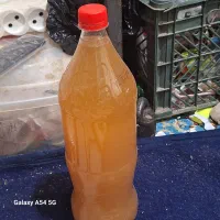 سرکه سیب محلی ابلیمو وابغوره واب زرشک محلی