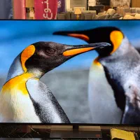 تلویزیون jvc نقدو اقساط