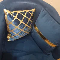 6عدد کوسن ابی طلایی