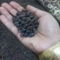 کشمش بی دانه تاکستان ۲۲۰|خوردنی و آشامیدنی|محمدیه-قزوین, |دیوار
