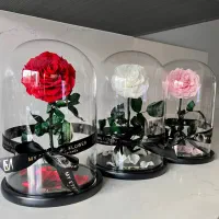 رز جاودان وارداتی با کارت گارانتی هفت ساله