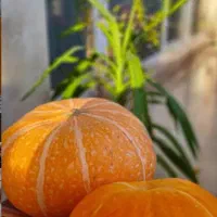 مربا کدو تنبل کدوتنبل|خدمات پذیرایی، مراسم|تبریز, |دیوار