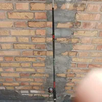 لنسرماهیگیری