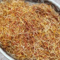 زعفران اعلادرجه یک|خوردنی و آشامیدنی|گرگان, |دیوار