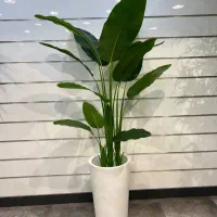 درختچه بزرگ کنار سالنی|گل مصنوعی|خرمآباد, |دیوار