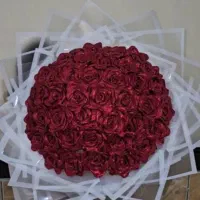 عروسک|اسباب‌بازی بچه|ایلام, |دیوار