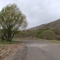 ۲۵۰ متر زمین  با آب چشمه|فروش زمین و ملک کلنگی|طالقان, |دیوار