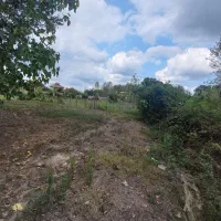 فروش-زمین-مسکونی-332-متری-در-جاده-فومن