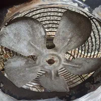 فن یا دمنده ۳۰ در ۳۰