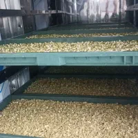 دستگاه جوانه ساز اتومات صنعتی|ماشین‌آلات صنعتی|تهران, پامنار|دیوار