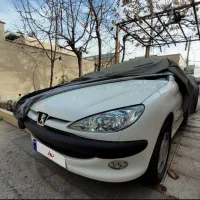 پژو ۲۰۶ تیپ ۳ پانوراما مدل ۱۴۰۱