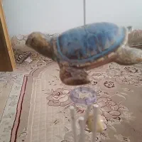زنگ بالای درب ساختمان