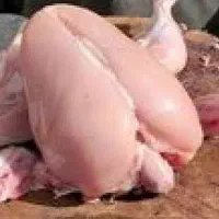 پخش غذای سگ سفید گوشتی رد وزارت بهداشت