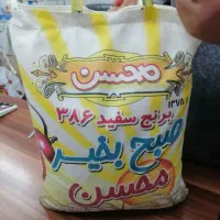 صندوق دار خانوم و کارگر تخلیه آقا
