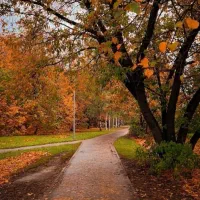 هرس اصولی کاشت صفرتاصد باغچه