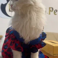 فروش لباس گربه و سگ