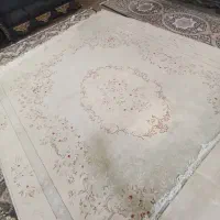 فرش ۱۲متری|فرش|دوگنبدان, |دیوار