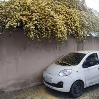 mvm 110s|خودرو سواری و وانت|محمدشهر, محمدشهر|دیوار