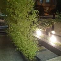 کلنگی ۳۰۰ متری جنوبی مرزداران ابراهیمی