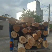 خرید و فروش چوب|خدمات باغبانی و درختکاری|ملایر, |دیوار