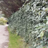 خریدار زمین تجاری سر خیابان