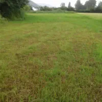 فروش-فوری-6-هزارمتر-زمین-قنبرمحله-سیبلی