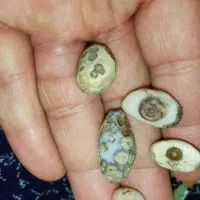 سنگ و نگین باباقوری قشنگ