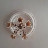 دو عدد لوستر|لوستر و چراغ آویز|ساوه, |دیوار