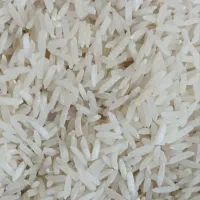 برنج طارم فجر. هاشمی گیلان .طارم هاشمی .طارم گرگان|خوردنی و آشامیدنی|مشهد, طبرسی شمالی|دیوار