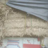 فروش کاه شالی کمل