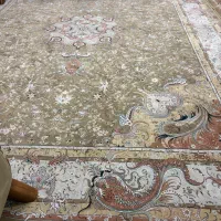 فرش|فرش|تهران, حکیمیه|دیوار