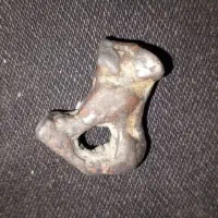 فروش|کلکسیون اشیاء عتیقه|گاریزات, |دیوار