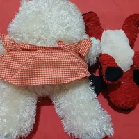 عروسک|اسباب‌‌بازی|زنجان, |دیوار