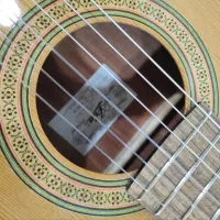 گیتار آریا SP2|گیتار، بیس، امپلیفایر|تهران, استقلال|دیوار