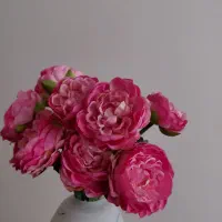 فرش و پرده و لوستر وآباژور فانتزی صورتی|پرده، رانر، رومیزی|تهران, باغ فیض|دیوار