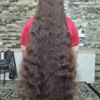 مو بلند بکر (بدون واسطه و دلال خریدارم)