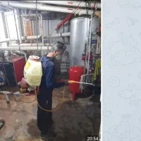 سمپاشی سوسک ساس درتمام نقاط تهران