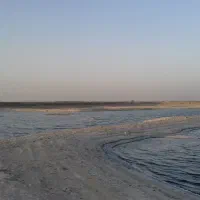 فروش زمین کشاورزی