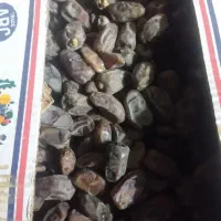 یک تن خرمای ابپخش ۶۵۰۰۰ بدون چونه