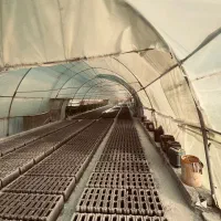 نیروی کار ماهر تولید بلوک