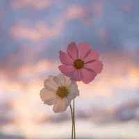 فروش زمین در مبارکه بافق