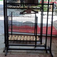 فروش رگال در مشهد