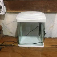 اکواریم فروشی در حد نو